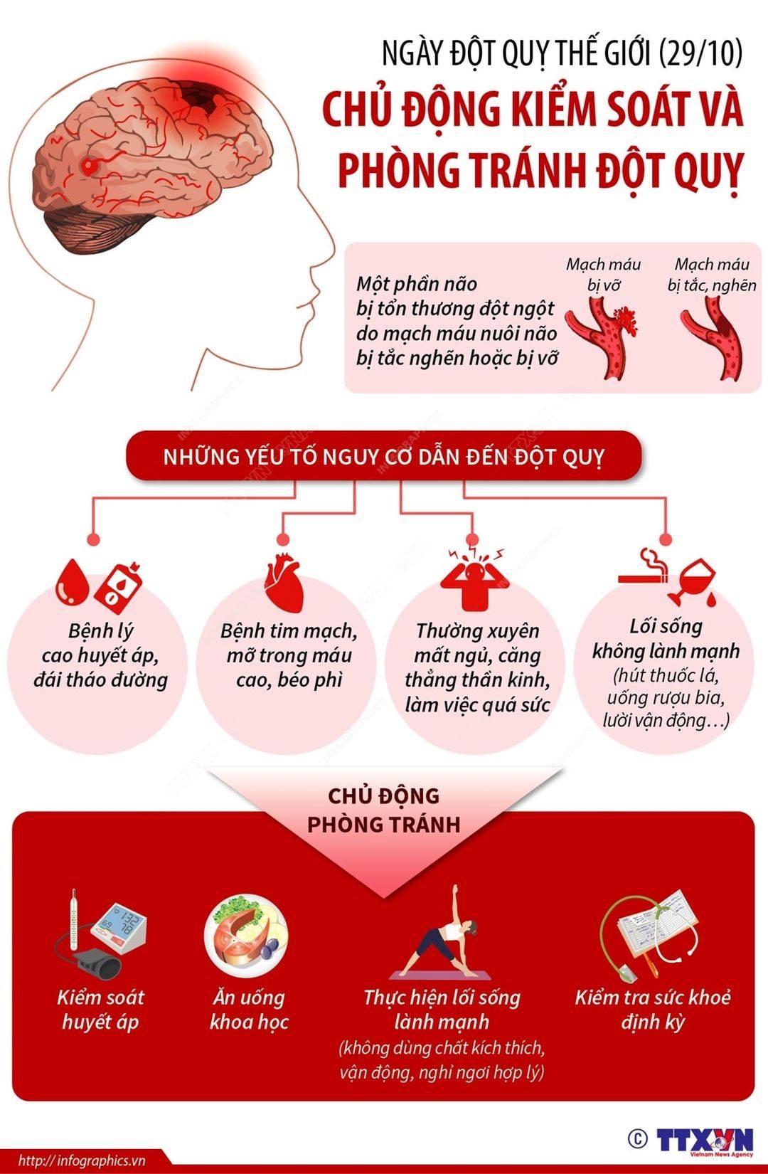 [infographics] Ngày Đột Quỵ Thế Giới 29 10 Chủ động Kiểm Soát Và Phòng